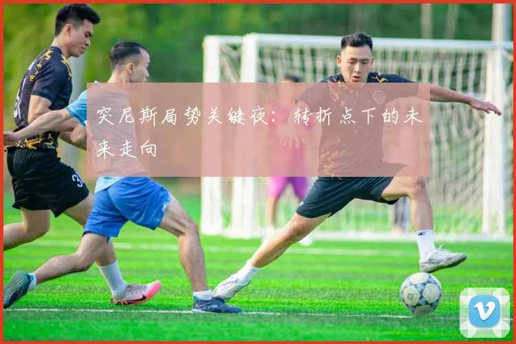突尼斯局势关键夜：转折点下的未来走向