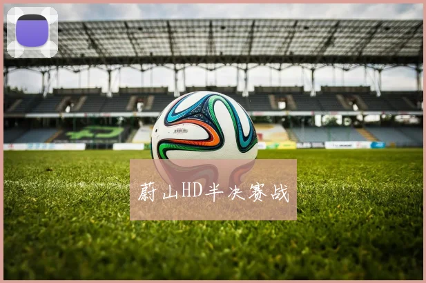 蔚山HD半决赛战