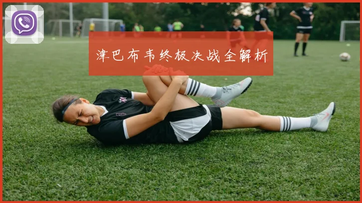 津巴布韦终极决战全解析