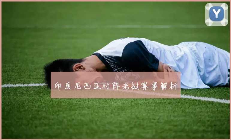 印度尼西亚对阵老挝赛事解析