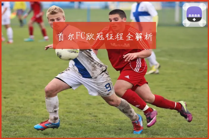首尔FC欧冠征程全解析