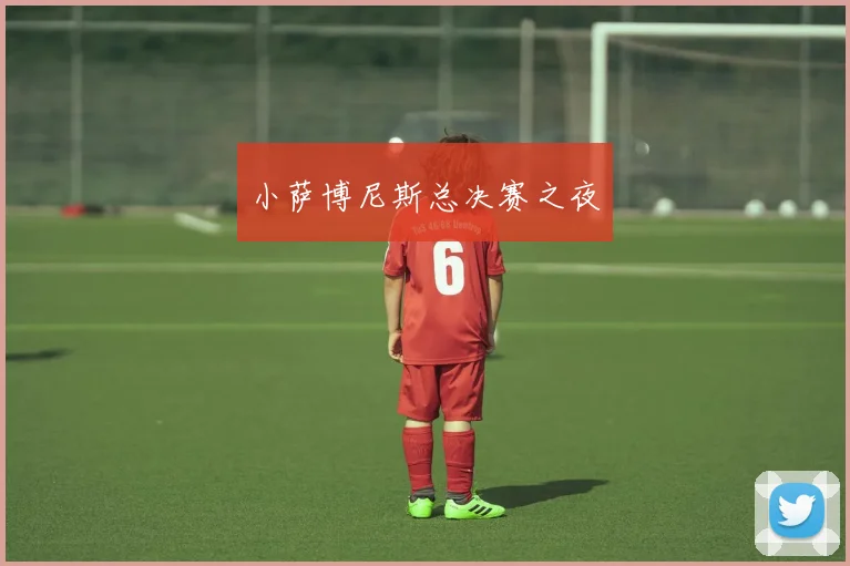 小萨博尼斯总决赛之夜