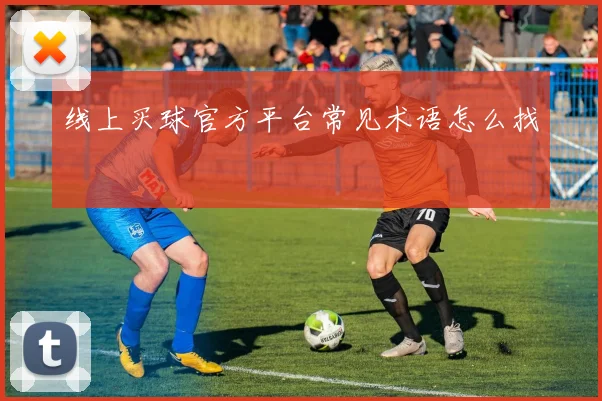 线上买球官方平台常见术语怎么找