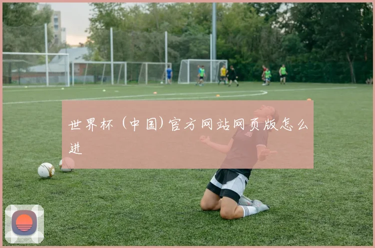 世界杯 (中国)官方网站网页版怎么进