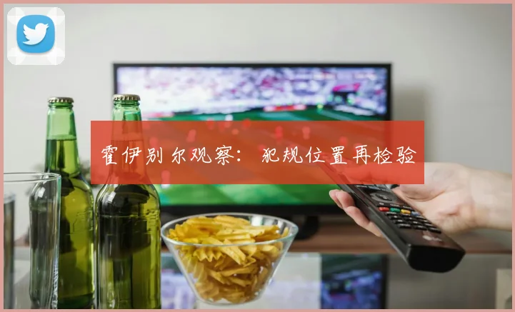 霍伊别尔观察：犯规位置再检验